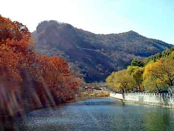 管家婆黑白马报图库，冬泉火酒